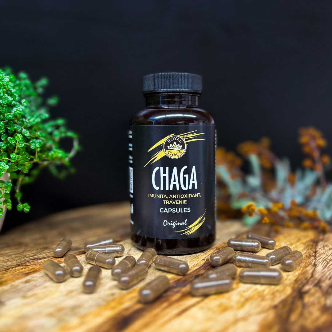 Chaga-capsules-1080x1080-03